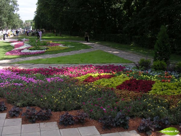 Парк Победы СПБ цветники