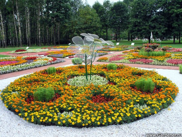 Клумбы в парках и скверах