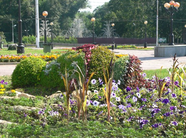 Липецкий Зеленхоз