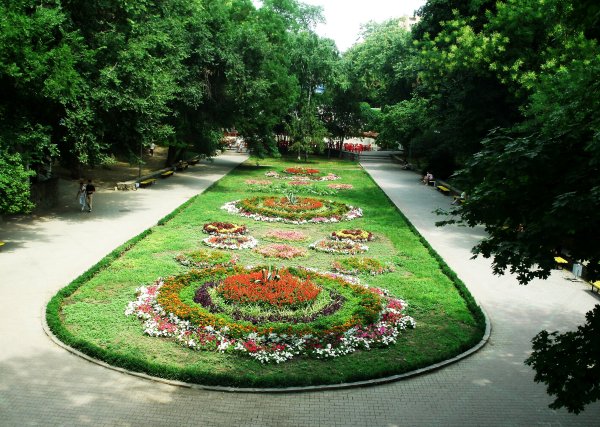 Парк Горького Ростов