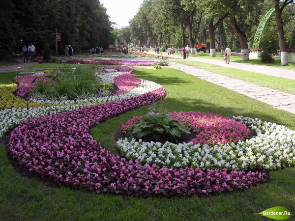 Парк Яуза цветники
