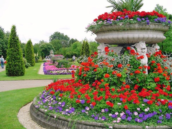 Риджентс парк розарий