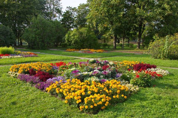 Чудесные цветники осенью