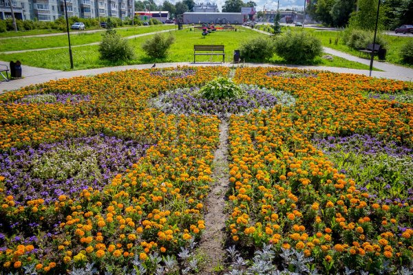 Самарский парк Победы клумбы