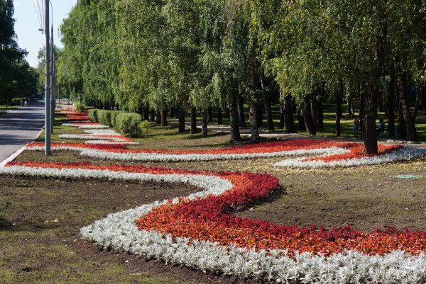 Сокольники парк Центральная клумба
