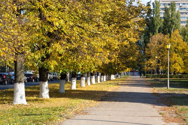 Городской парк Тольятти