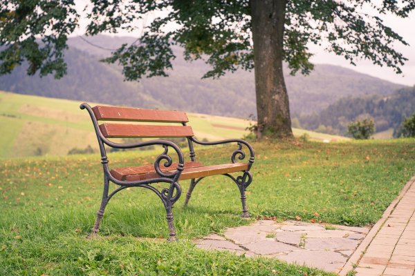 Парковые скамьи 19 век