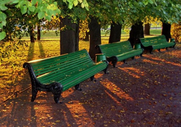 Скамейка в летнем саду в СПБ