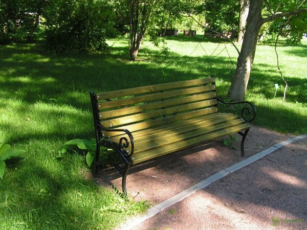 Скамейка в парке