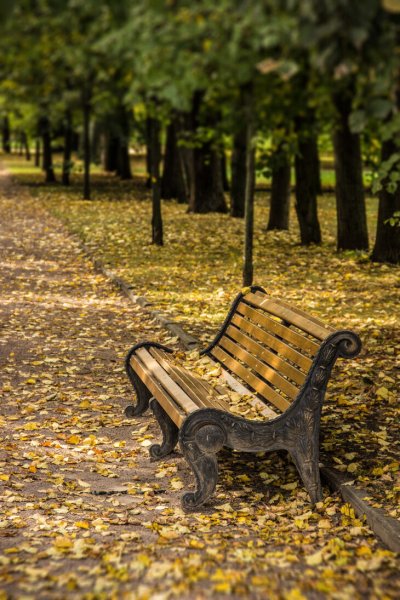 Нальчик парк лавочка