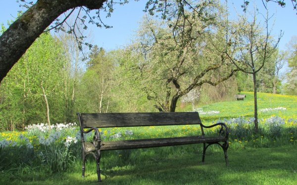 Терлецкий парк лавочки