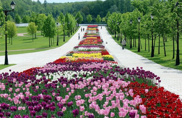 Парк Царицыно в Москве клумбы