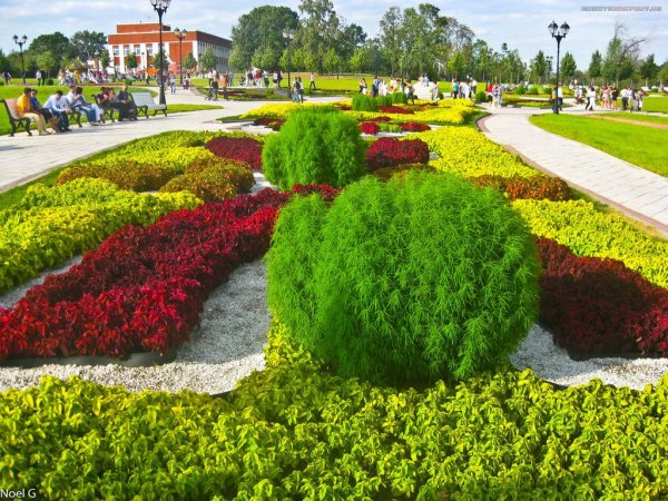 Клумбы Царицыно