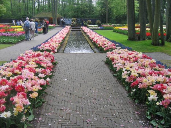 Рабатка Версаль