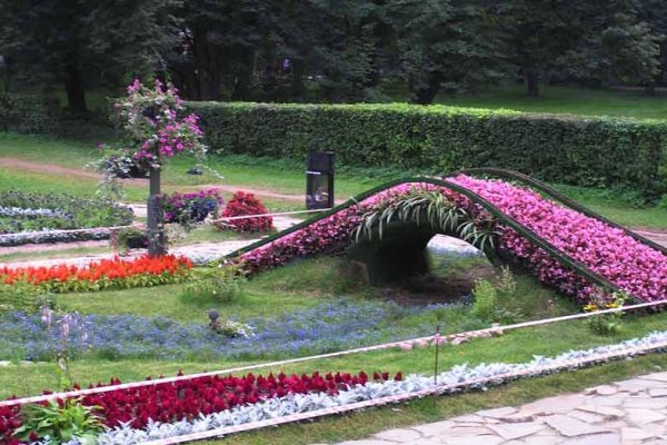 Кузьминки парк цветники