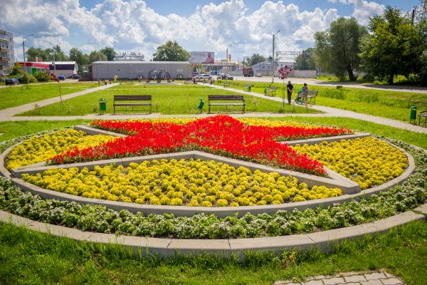 Парк Горького клумбы