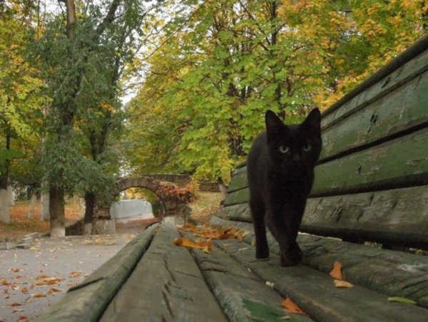 Осенний Новочеркасск