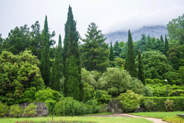 Алупкинский дворец и парк