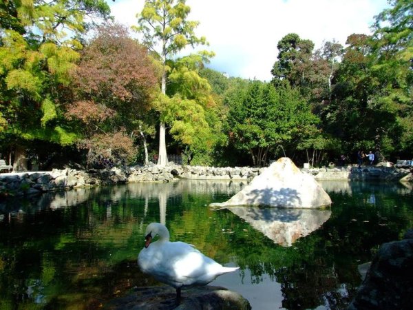 Воронцовский парк Алупка