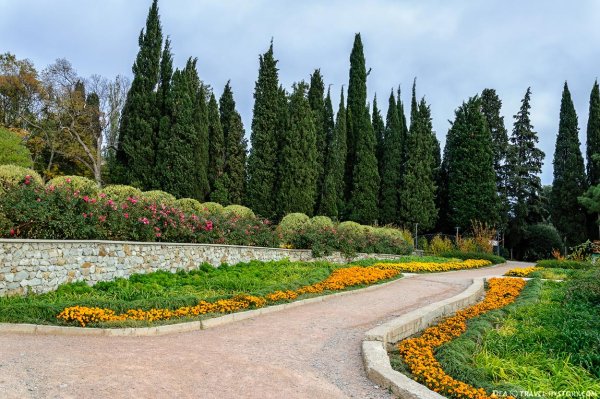 Парк Никитский Ботанический сад