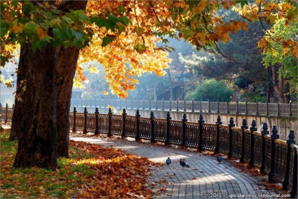 Гагаринский парк Симферополь осень