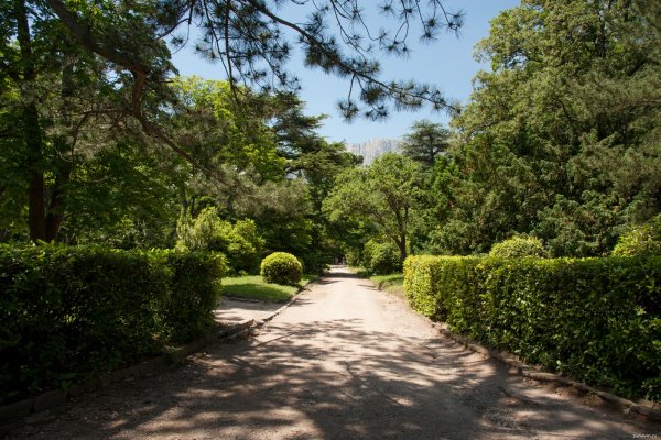 Парк Воронцовского дворца в Крыму