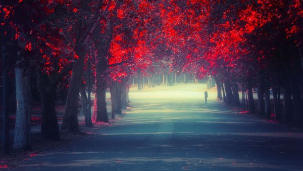 Красивый фон для фото