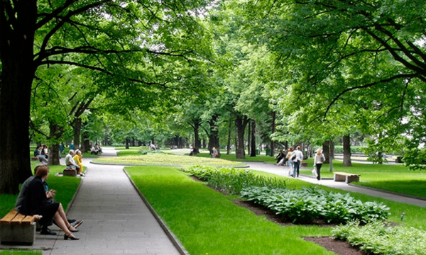 Сквер экономистов Самара