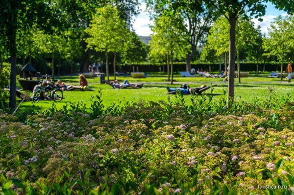 Парк Горького Поляна