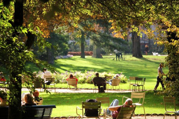 Сад Люксембург Париж аллеи