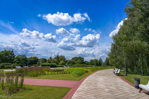 Царицыно парк с неба