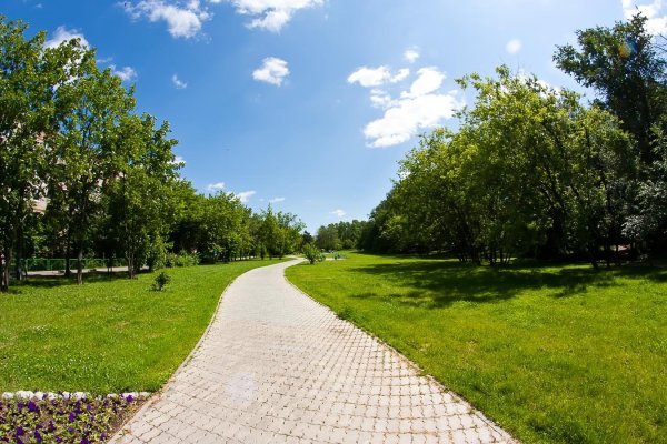 Измайловский парк тропинки