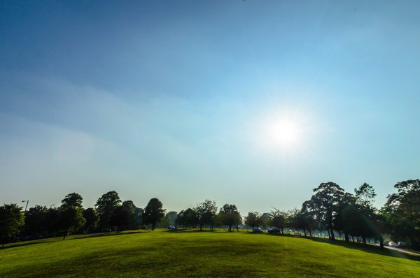 Парк солнечное небо