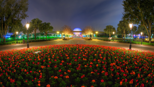 Парк лето вечер