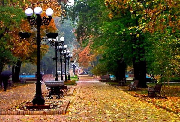 Пушкинская улица в Ростове на Дону осенью