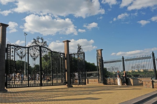 Поле парк Щербакова