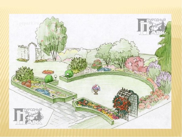 Эскиз сада