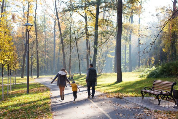 Гуляю один в парке