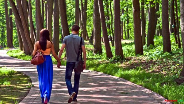 Люди в парке летом