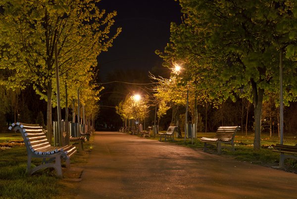 Парк ночью летом Барнаул