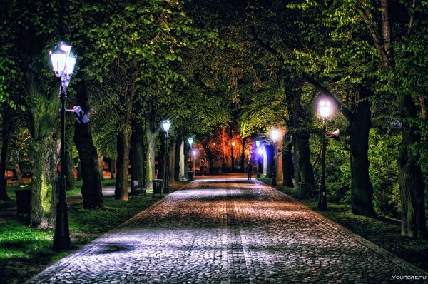 Краснодар сквер осень ночь