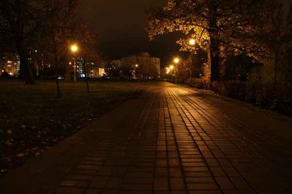 Вечерний парк