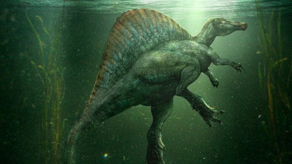 Спинозавр АРК парк. Юрского. Периода