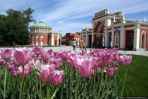 Французский парк Царицыно