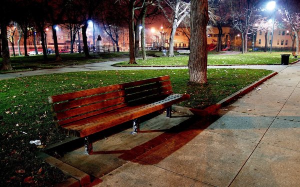 Скамейка в парке