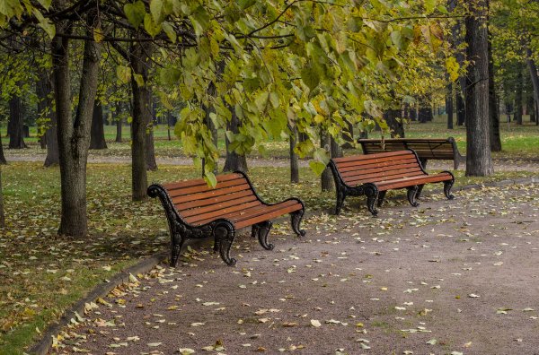 Парк Ессентуки лавочки