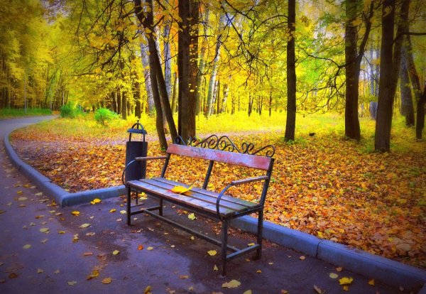 Терлецкий парк лавочки