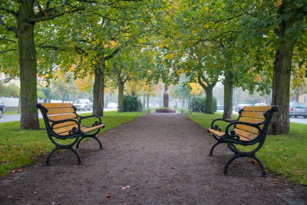 Осенний парк