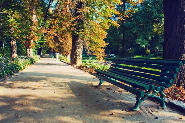 Людиново лавочка парк