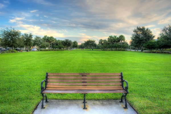 Красивый парк с лавочками